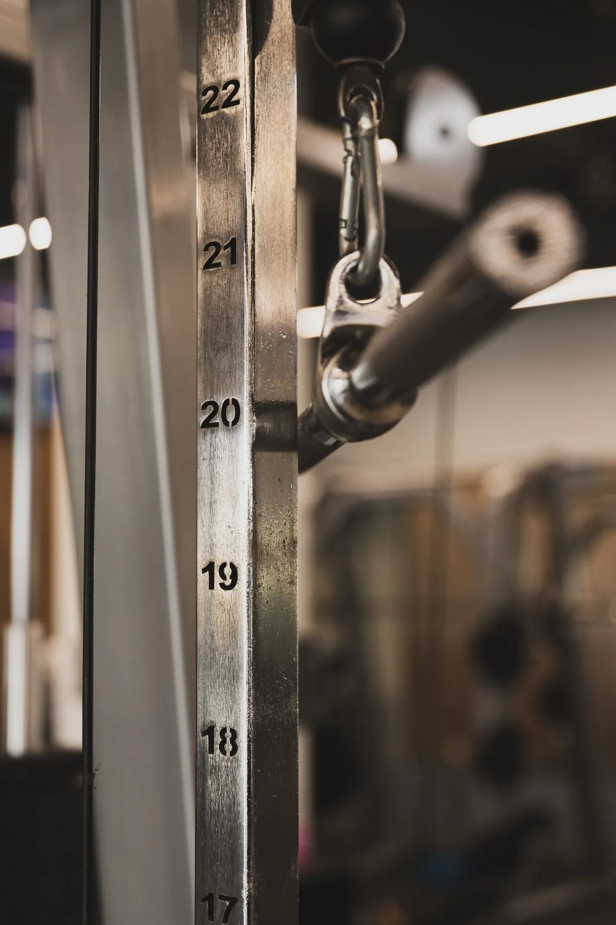 Forge Adjustable Dumbbells